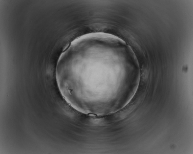 X0000101100283200807171919