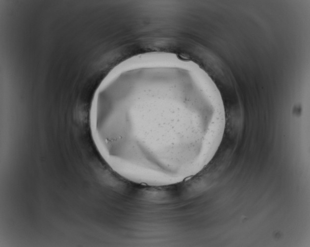 X0000101100284200807171919