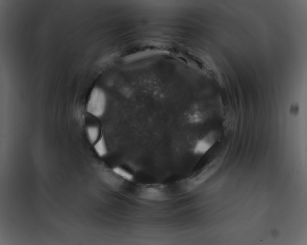 X0000101100285200807171919