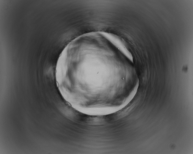 X0000101100286200807171919