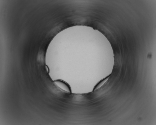 X0000101100287200807171919