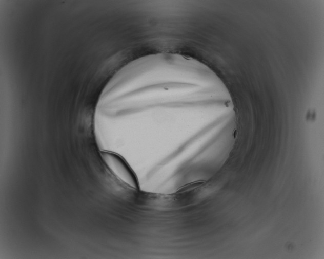 X0000101100288200807171919