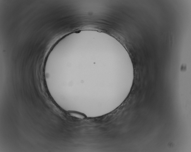 X0000101100289200807171919