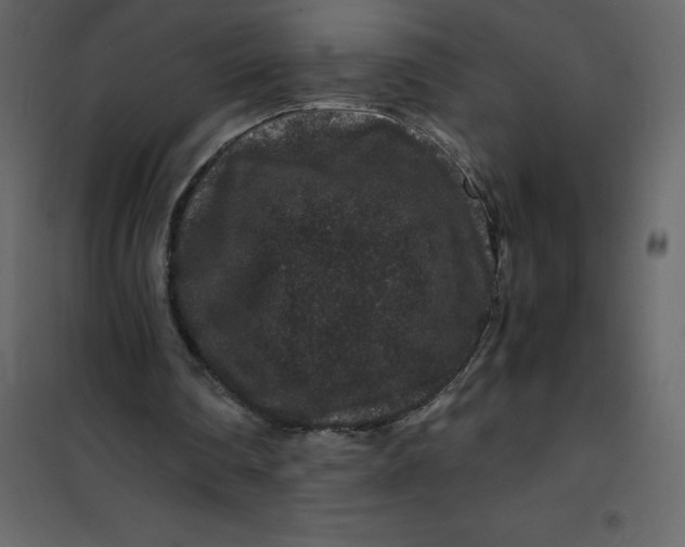 X0000101100290200807171919