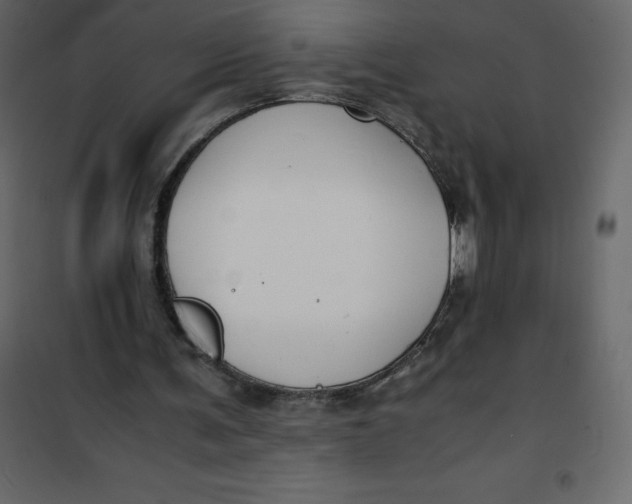 X0000101100291200807171919