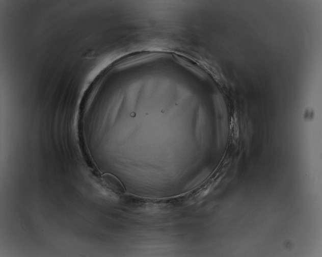 X0000101100292200807171919