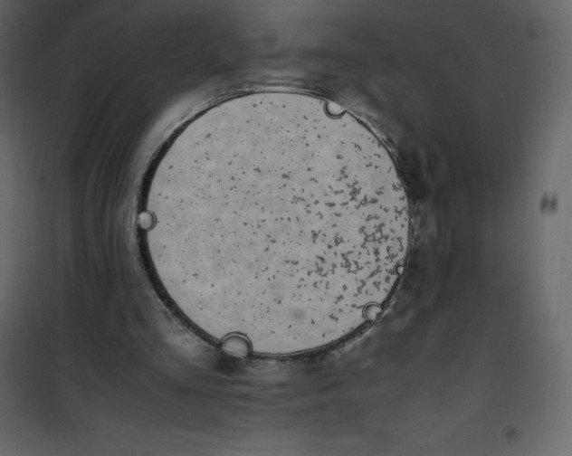 X0000101100293200807171919