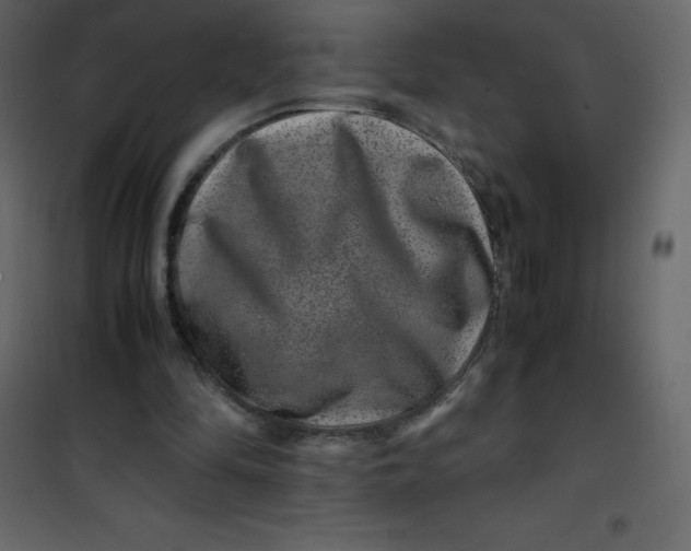 X0000101100294200807171919