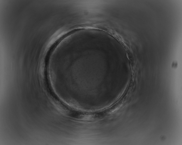 X0000101100295200807171919