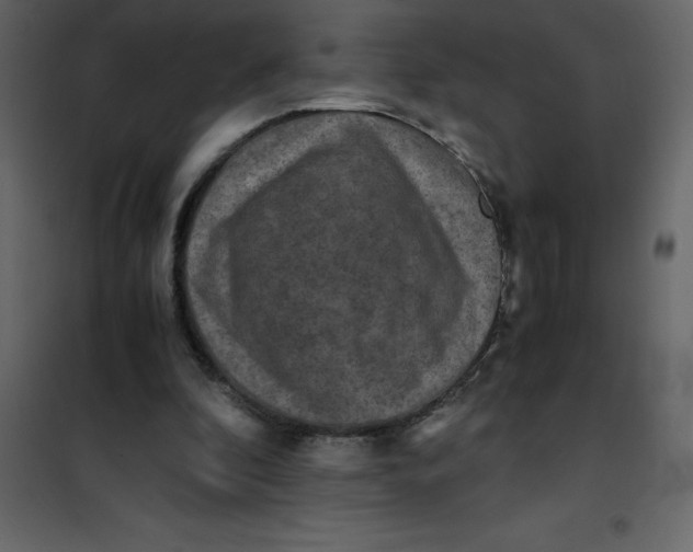 X0000101100296200807171919