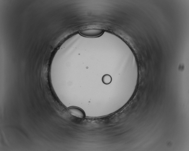 X0000101100297200807171919