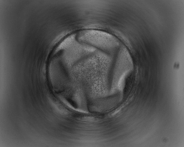 X0000101100298200807171919