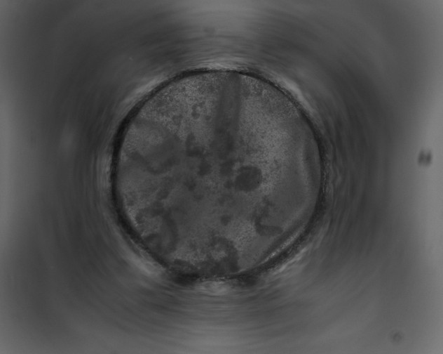 X0000101100299200807171919