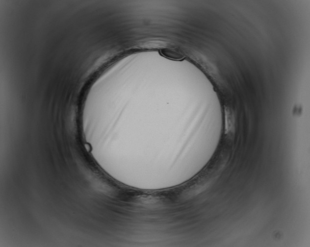 X0000101100300200807171919