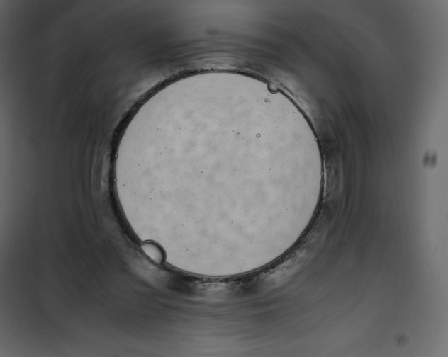 X0000101100301200807171919