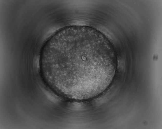 X0000101100302200807171919