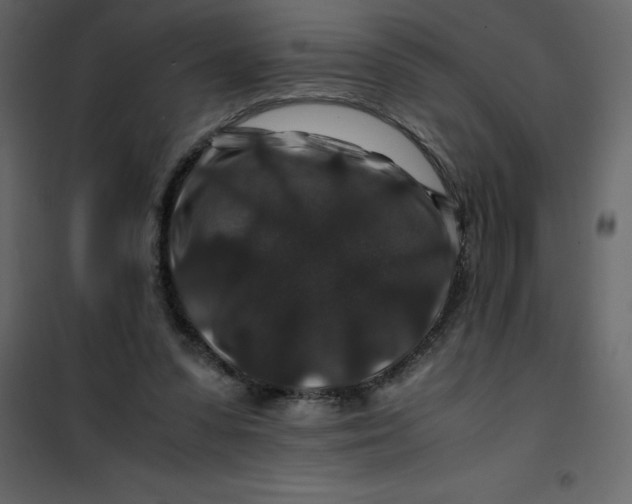 X0000101100303200807171919