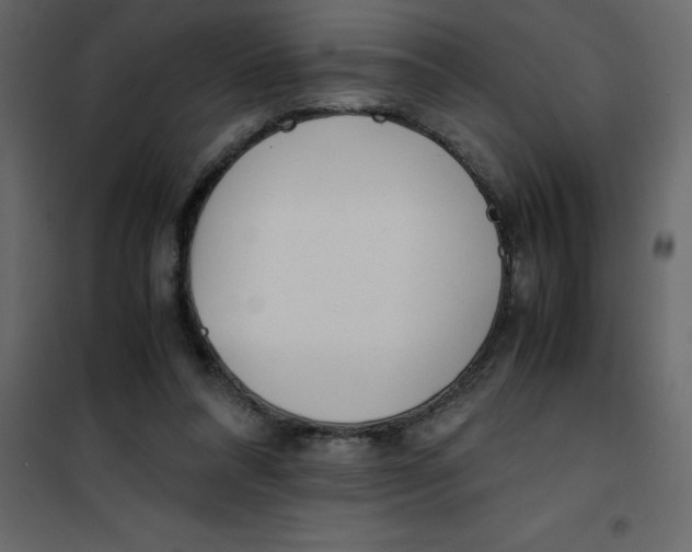 X0000101100304200807171918