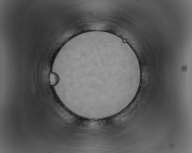 X0000101100305200807171918