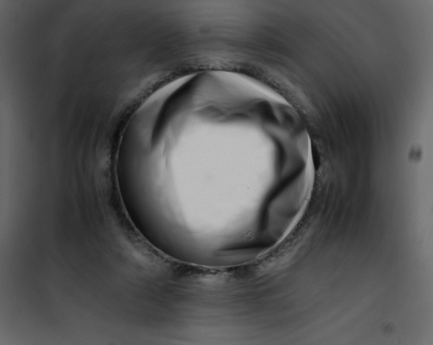 X0000101100306200807171918