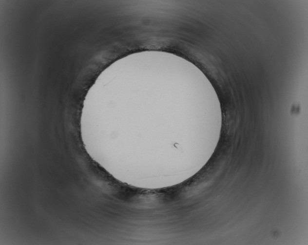 X0000101100307200807171918