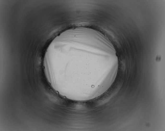 X0000101100308200807171918