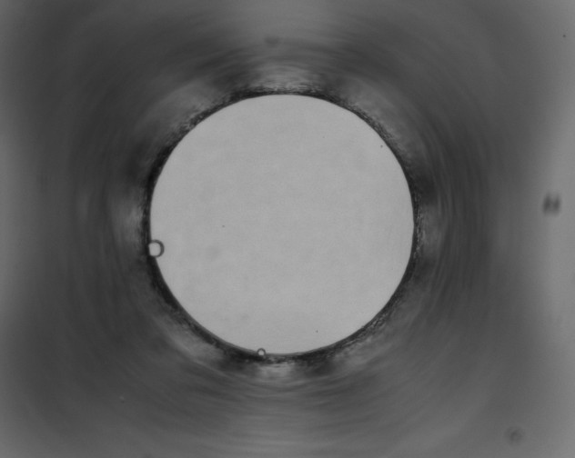 X0000101100309200807171918