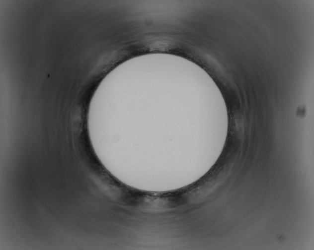 X0000101100311200807171918