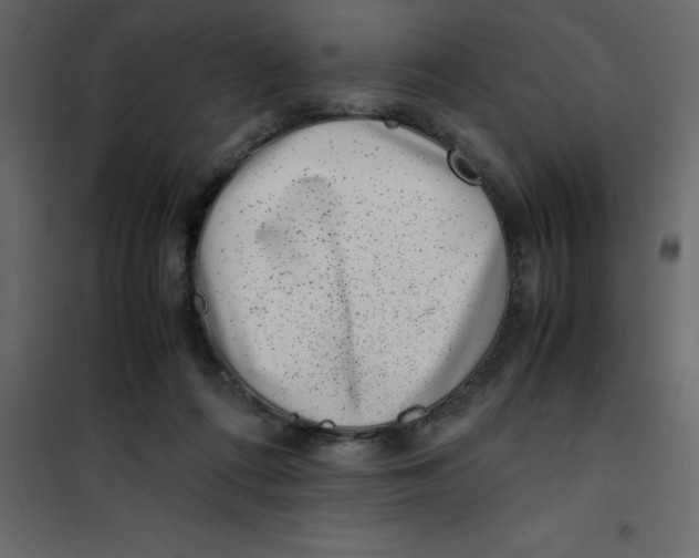 X0000101100312200807171918