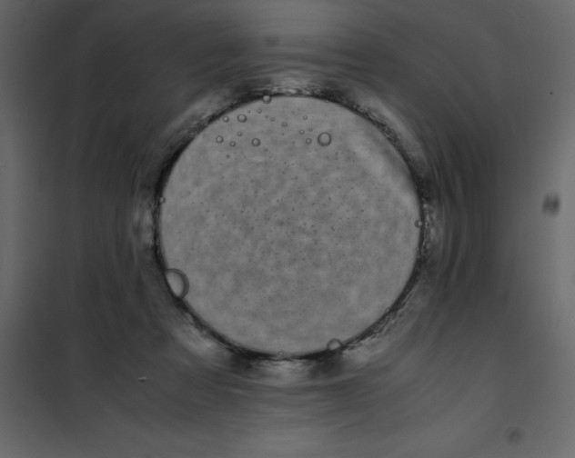 X0000101100313200807171918