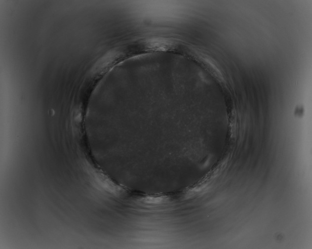 X0000101100314200807171918