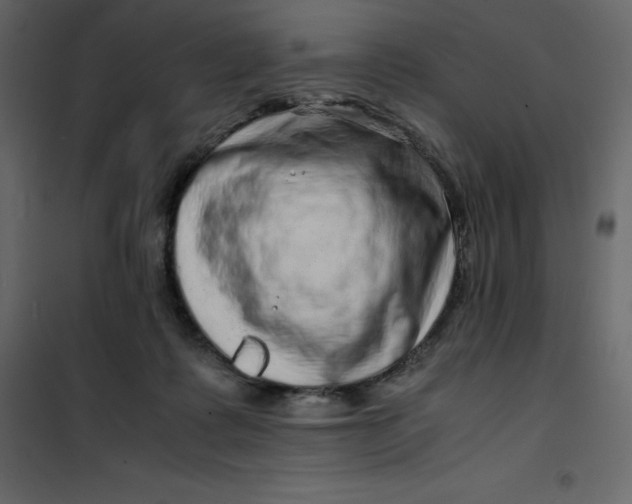 X0000101100315200807171918