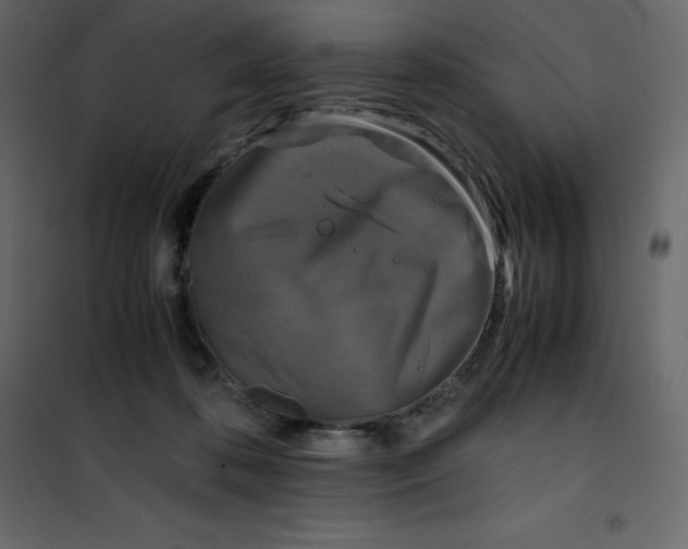 X0000101100316200807171918