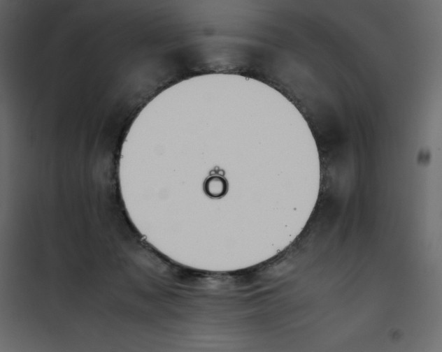 X0000101100317200807171918