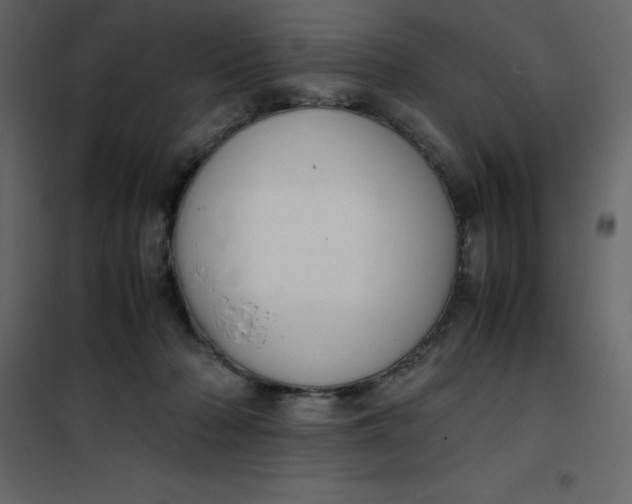 X0000101100318200807171918