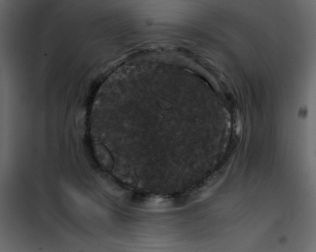 X0000101100319200807171918