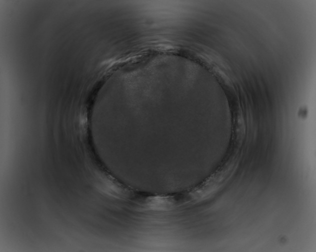 X0000101100320200807171918