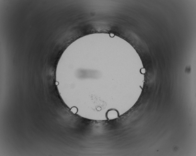 X0000101100321200807171918