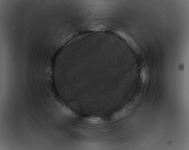 X0000101100322200807171918