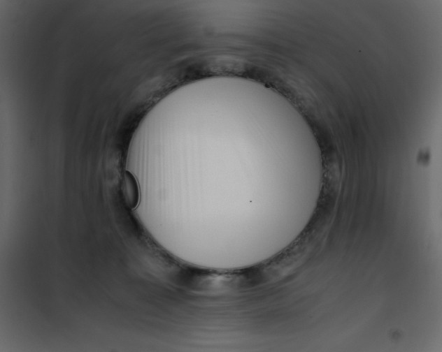 X0000101100323200807171918