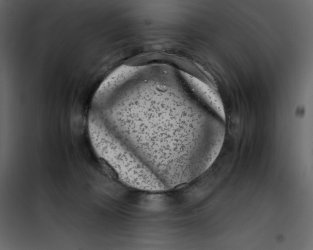 X0000101100324200807171918