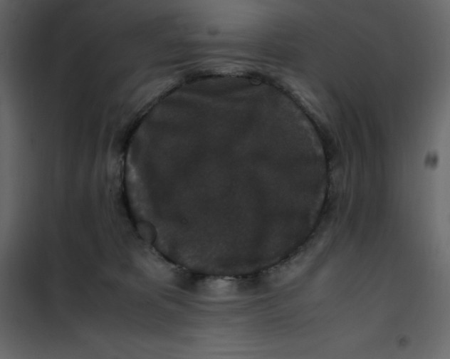 X0000101100325200807171918