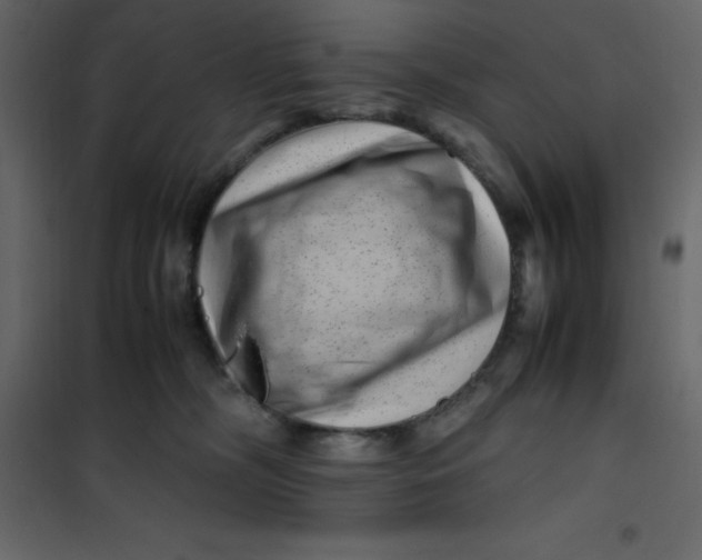 X0000101100326200807171918