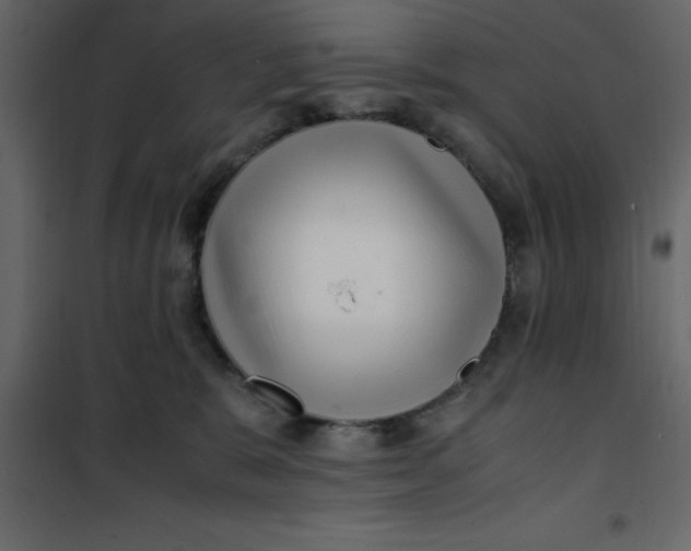 X0000101100327200807171918