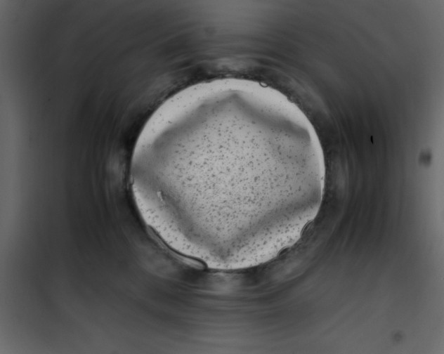 X0000101100328200807171918