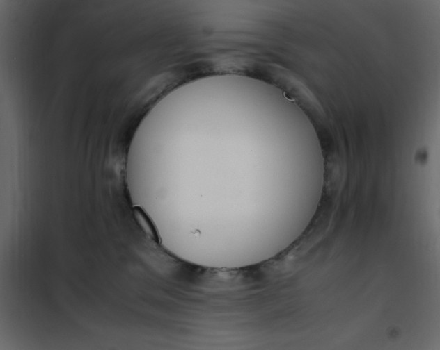 X0000101100329200807171918