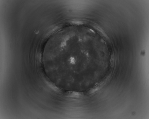 X0000101100330200807171918