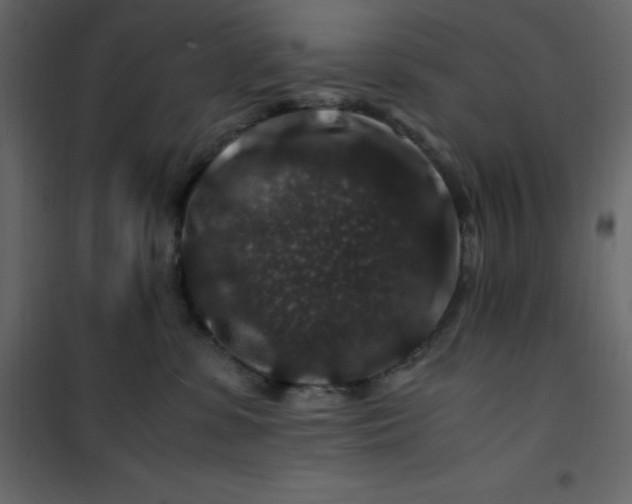 X0000101100331200807171918