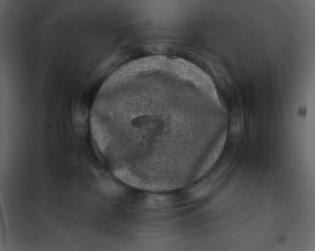 X0000101100332200807171918