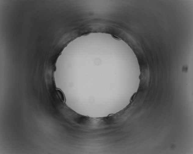 X0000101100333200807171918